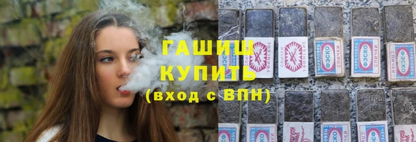 индика Надым